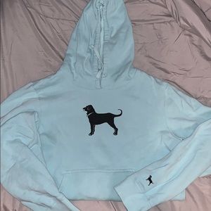 black dog hoodie